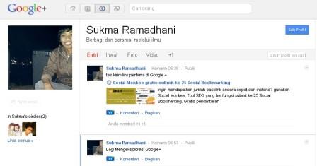 Tampilan Halaman Profil Google +