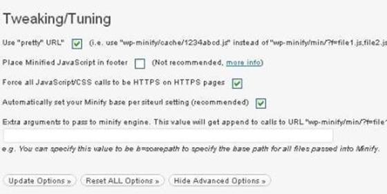 setting advanced option di wp minify