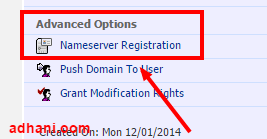 advanced option, nameserver registration di namecheap